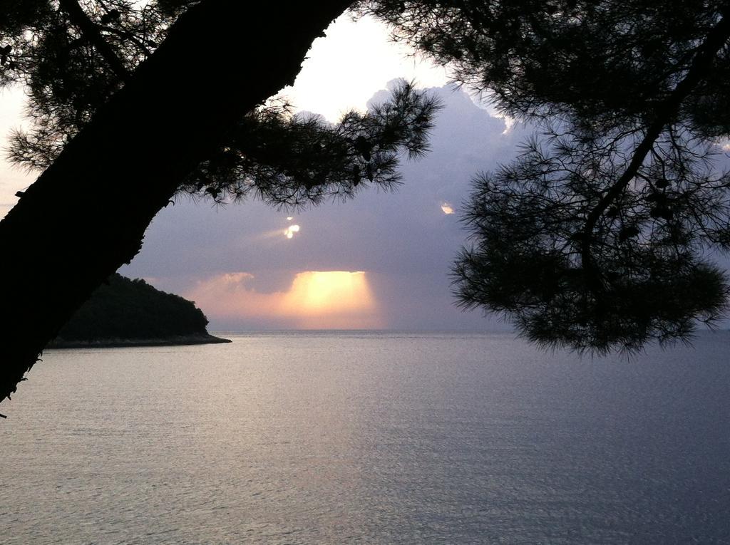 Guesthouse Galeb Vrsar Zewnętrze zdjęcie